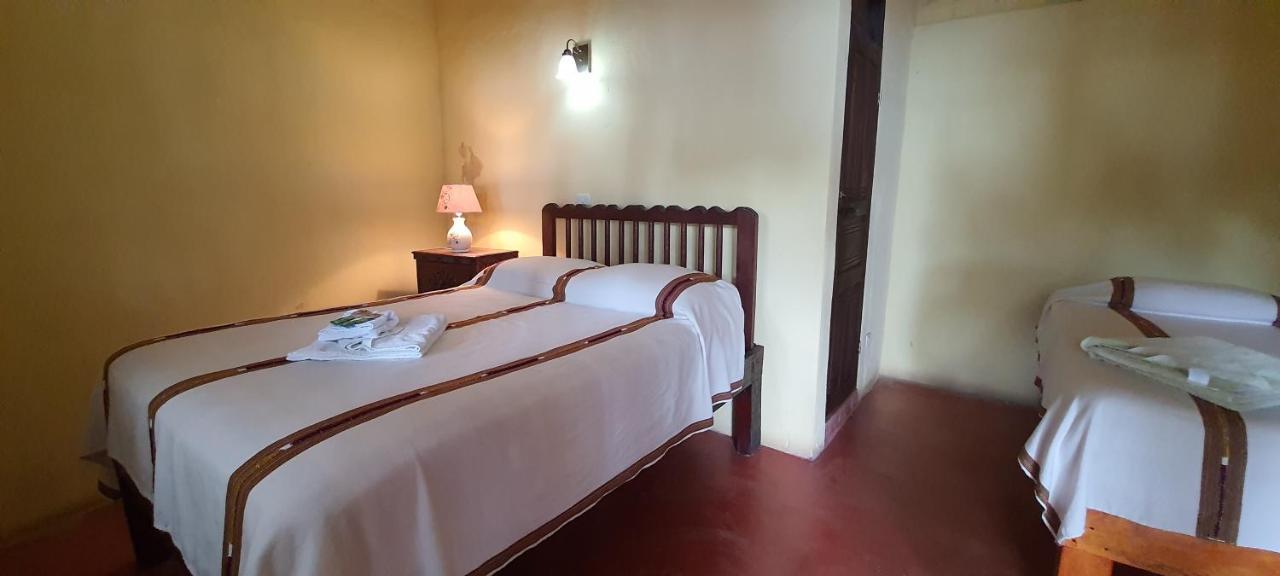 Hotel & Restaurante Arca De Noe Santa Cruz La Laguna Kültér fotó